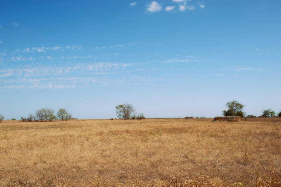 the prairie view