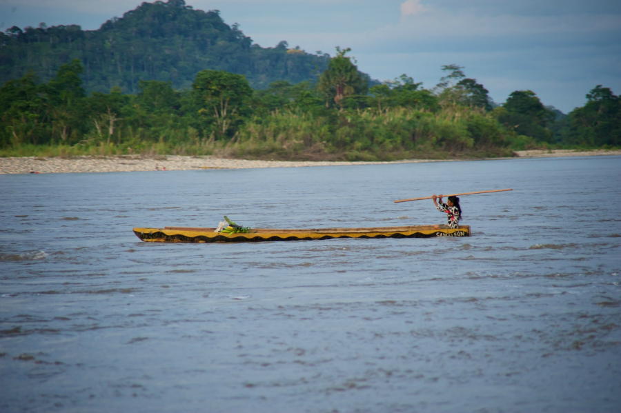 amazon Ecuador 308