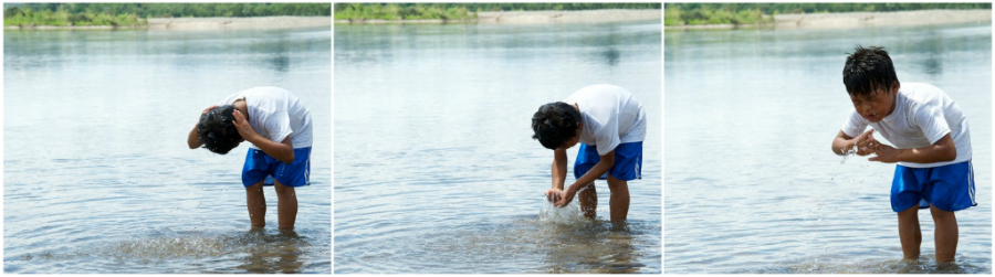 amazon water collage
