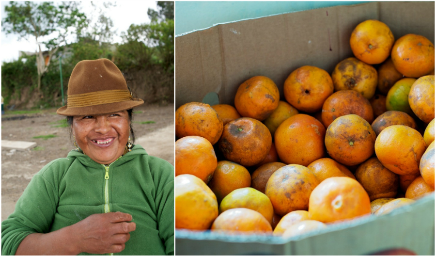 oranges ecuador